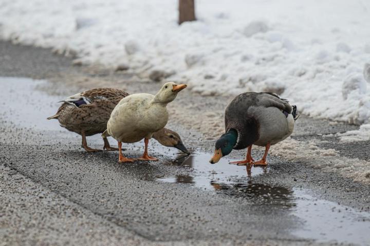 (fot. Jakub Secky)