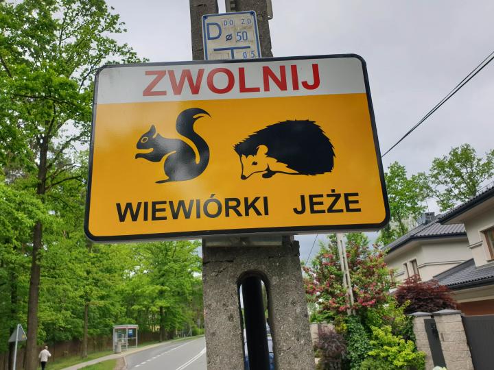 Oznakowanie drogowe w warszawskiej dzielnicy Wesoła (fot. K. Kustusch)